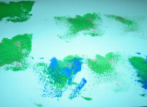 Abi's Butterfly sponge