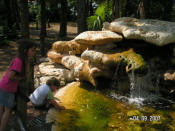 Tadpole pond