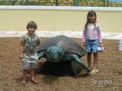 Loggerhead Marine Life Center